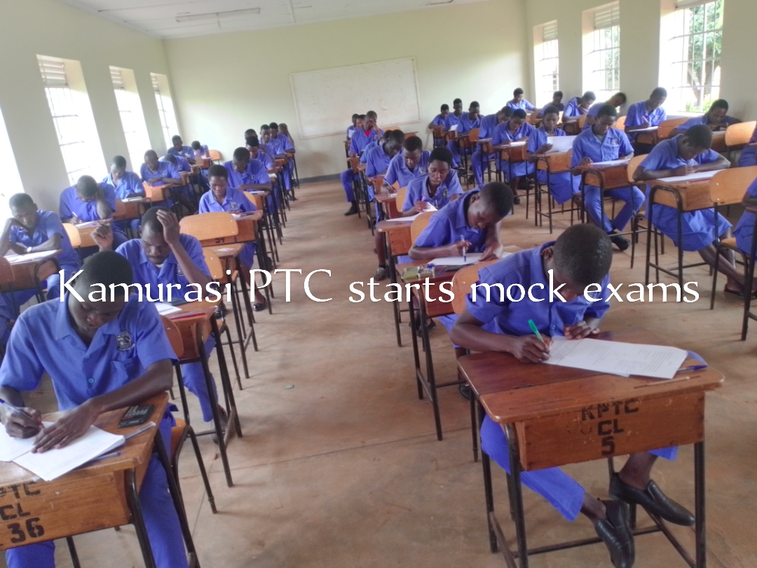 fantastic cms